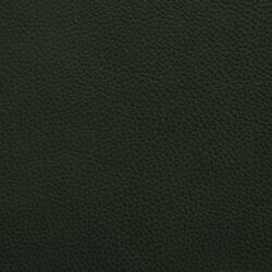 Leather - oxfordgruen / oxford green