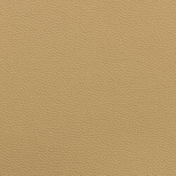 Leather II - beige / beige