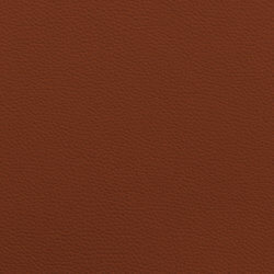 Leather II - cognac / cognac