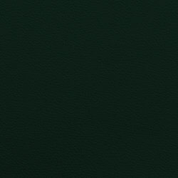 Leather II - grün / green