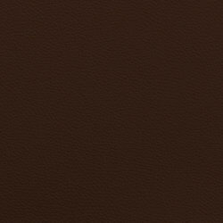 Leather II - mustang / mustang