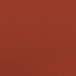 Leather II - terracotta / terracotta